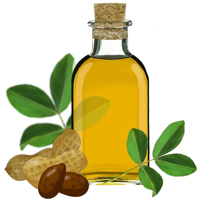 Seed Oil